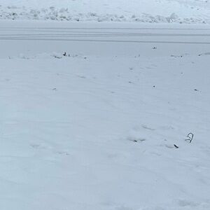 Winter ❄️ sharing